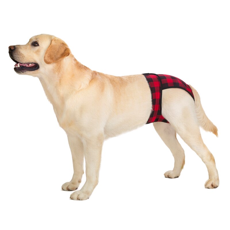 Stor hund fysiologiska byxor kvinnlig hund trosor shorts underkläder trosor samojed husky labrador golden retriever husdjursblöja