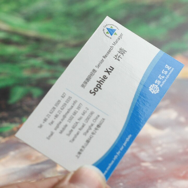 Billig visitkort print 300 gsm coated papir visitkort blank/mat lamineret visitkort print