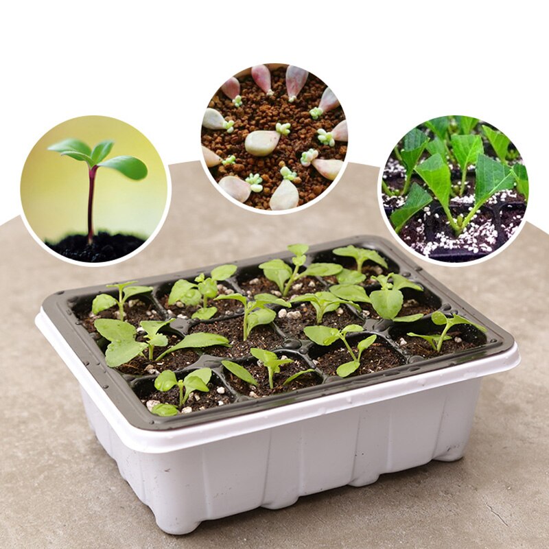 6/12-hole Seedling Box Tray Seed Plant Starter Tray Garden Supply Home Gardening FPing