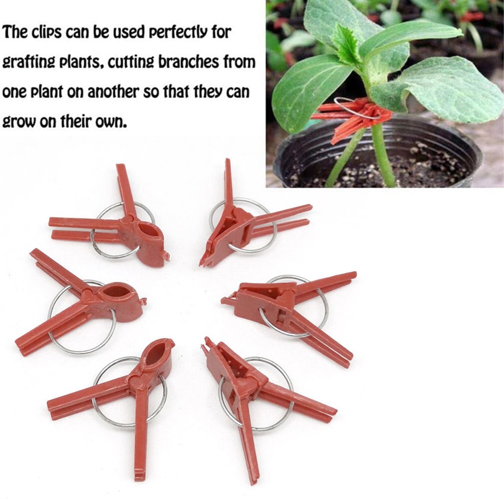 50 Stuks Groente Enten Klem Komkommer Clip Watermeloen Meloen Enten Clip Aubergine Enten Plastic Clip