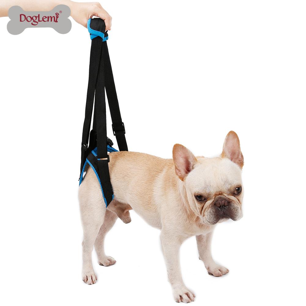 Harnais de levage réglable pour chien, pour les pattes arrière, Support pour animaux de compagnie, écharpe pour les jambes faibles, outil d'assistance pour les chiens
