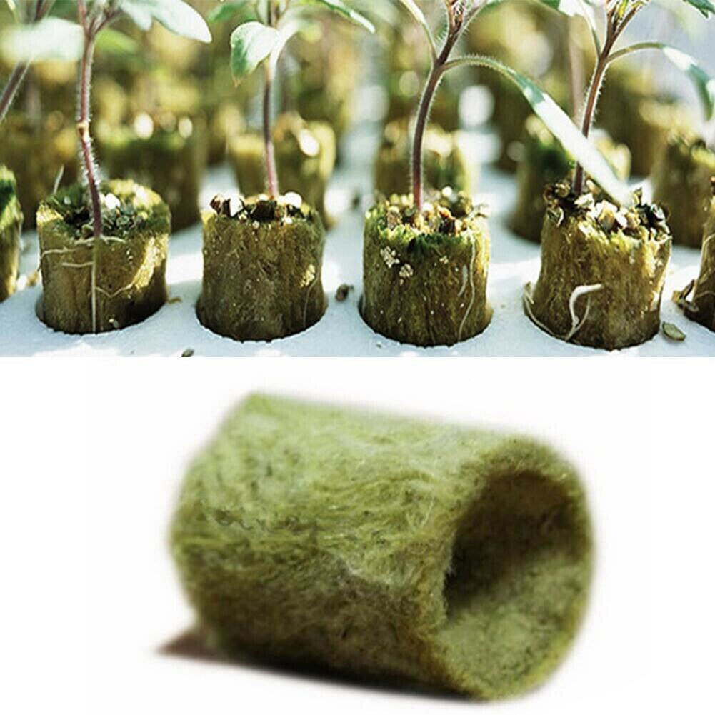 Garden Plant Soilless Culture Substrate Rock Wool Plug Single Hole Growing Rock Wool for Hydroponic Propagation