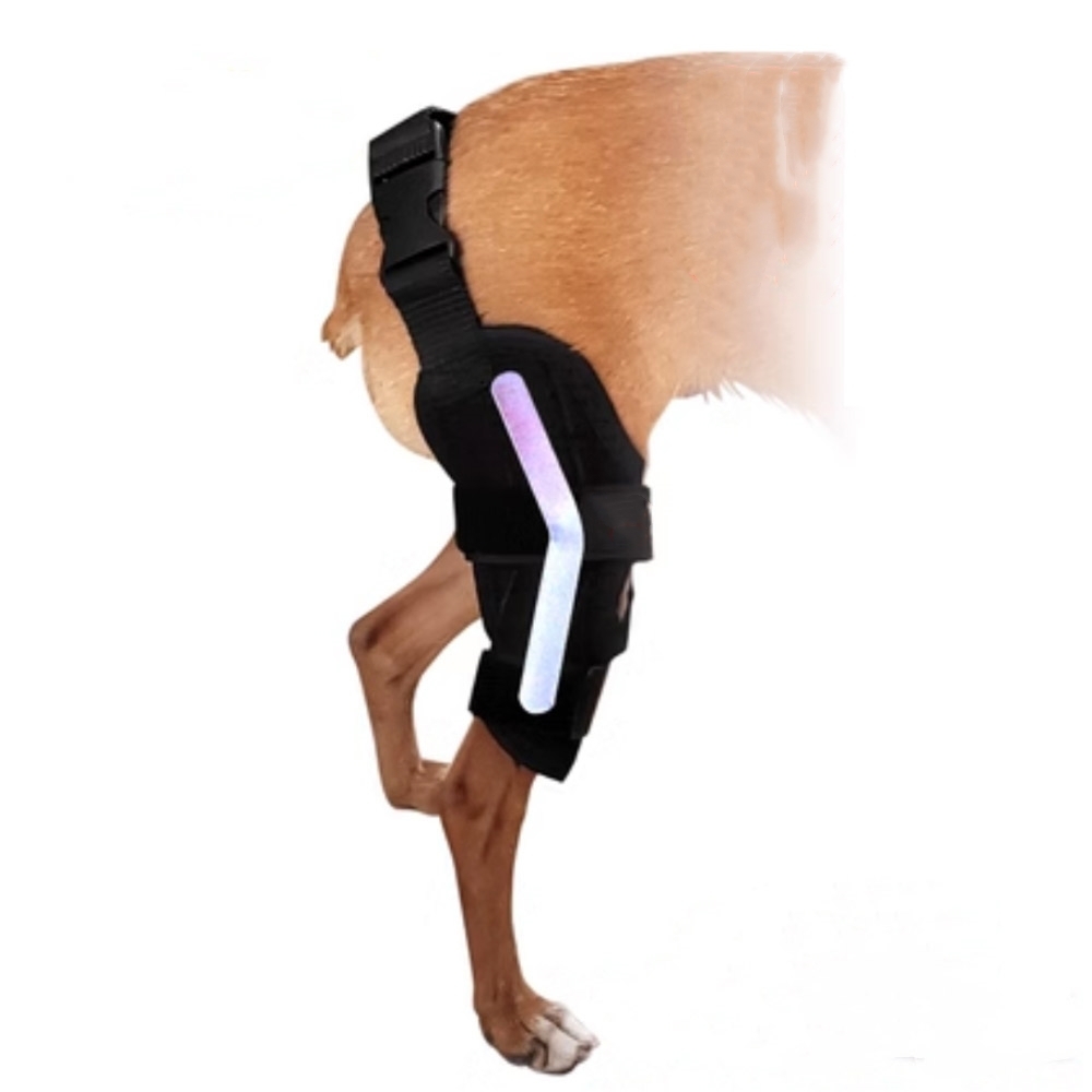 Pet Dog Injury Knee Brace Leg Cruciate Ligament Patella Dislocation Fixation Strap To Protect Stifle Fractures Inflammation Pain: L / Red