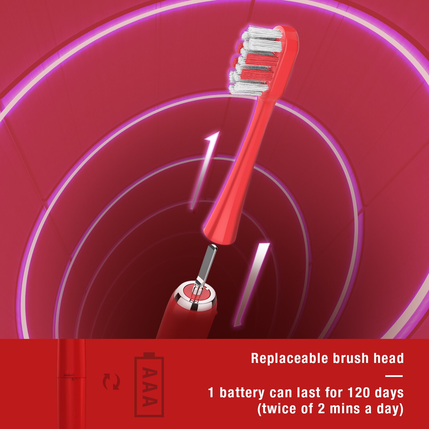 Seago Newest Sonic Electric Toothbrush 24000 Times/Min Vibration Stronger Clean 2 Mins Timer AA Battery Power Tooth Brush