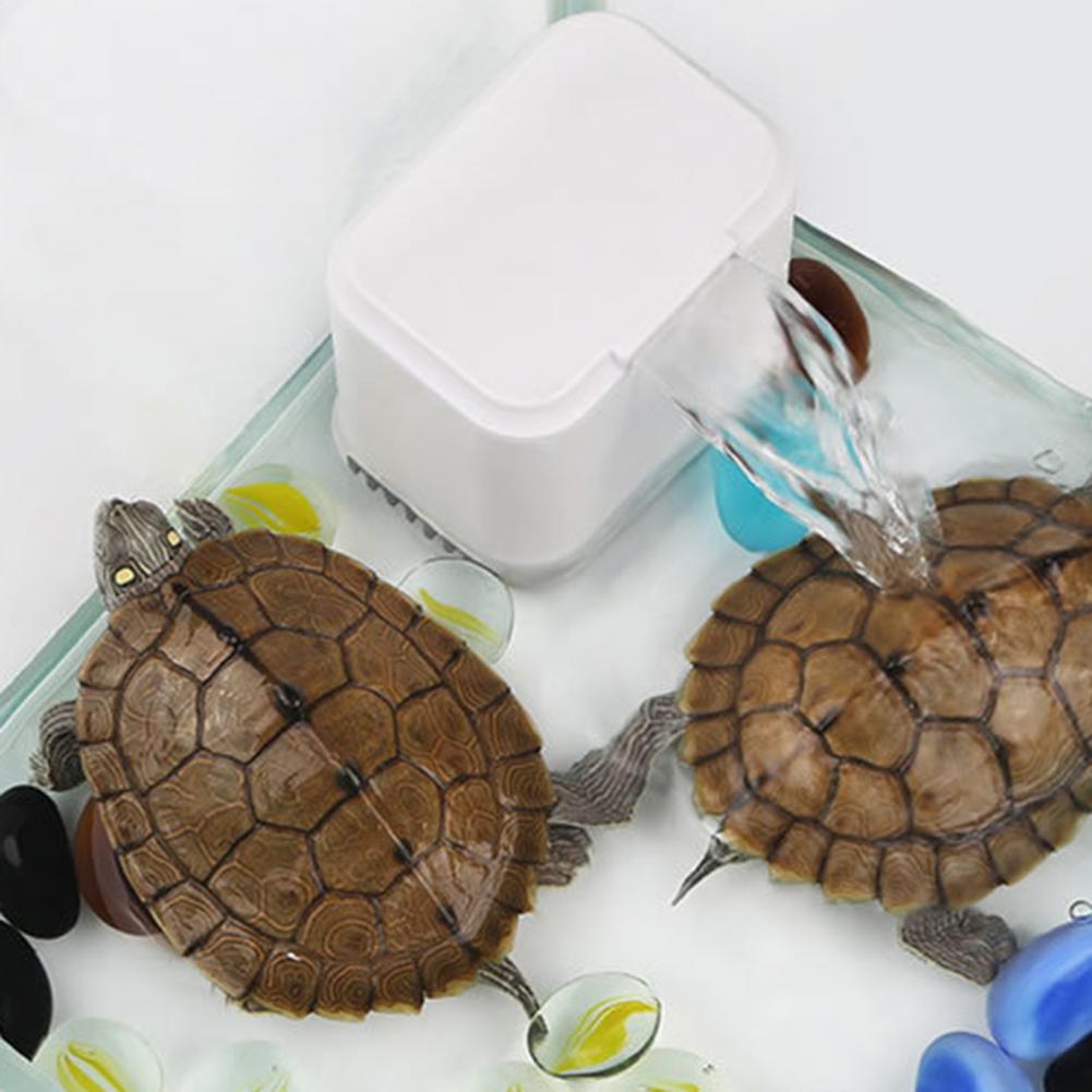 Schildkröte Panzer Filter Niedrigen Wasserstand Wasser Gereinigtes Wasser Pumpe Aquarium Schildkröte Pumpe Heimtierbedarf