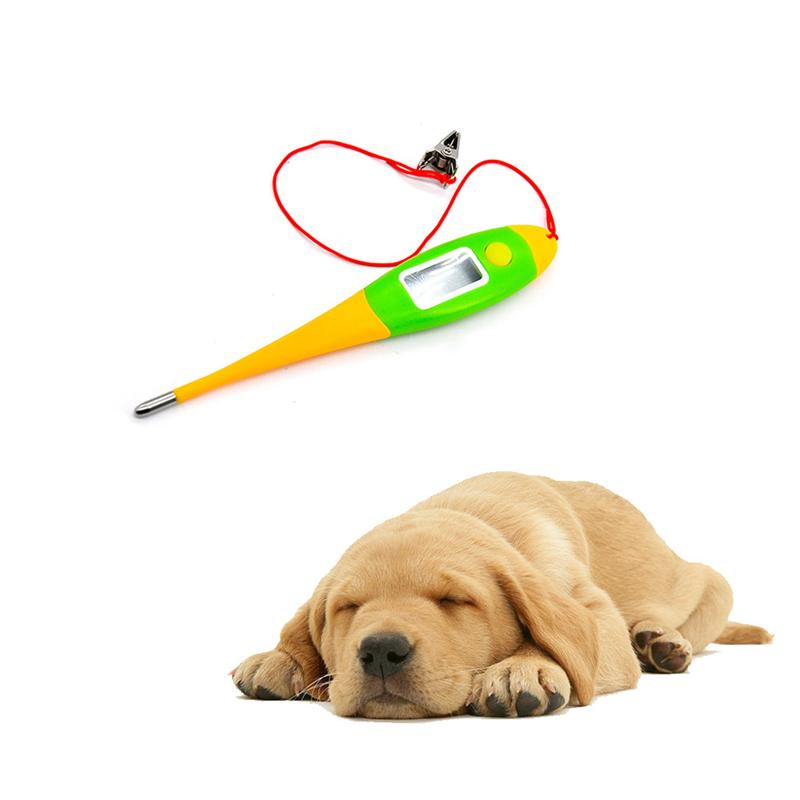 1Pc Honden Thermometer Klinische Digitale Thermometer Voor Honden Dieren Herbruikbare Professionele Thermometer Voor Hond