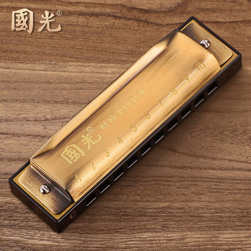 Zestaw harmonijka dla dzieci 10 otworów blues mistrz unikalna melodia harmonijka Diy harmoniczne instrumenty Acordeon instrumenty ludowe BD50HH