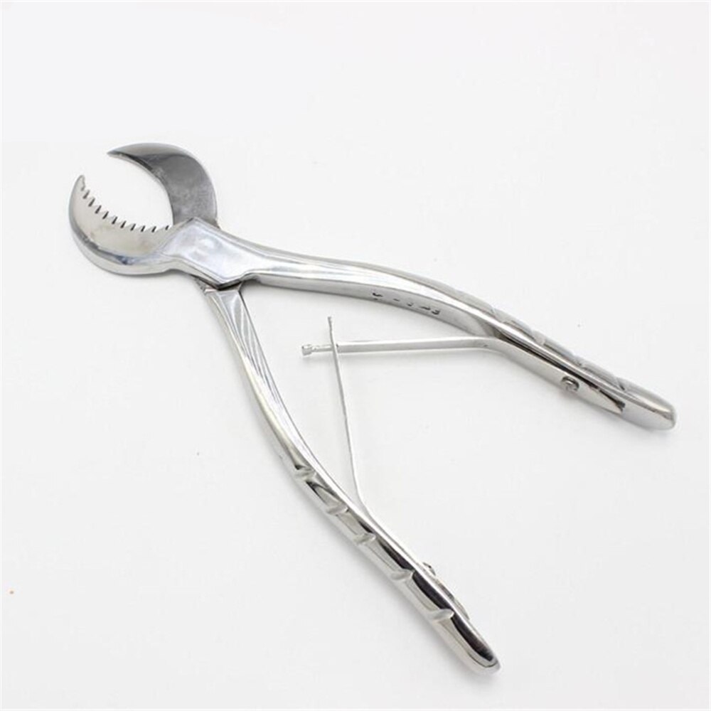 Ciseaux à plâtre pince coupante ciseaux à gypse laboratoire dentaire grand 20 cm petit 16 cm fournitures de laboratoire