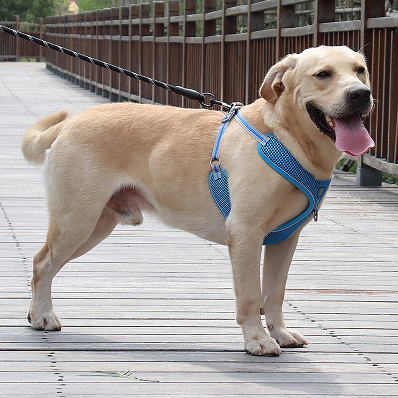 Large Dogs Harness Vest Breathable No Pull Dog Training Harness Adjustable Reflective Pet Harnesses For Pitbull Labrador Collars