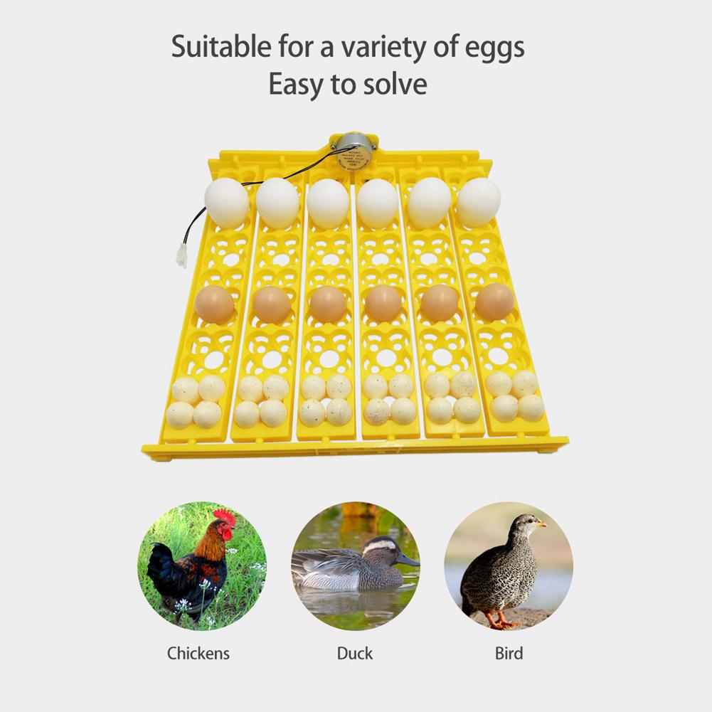 36 Eggs Automatic Incubator Egg Tray Egg Incubator Home Mini Incubation Equipment Chicken Farm Poultry Hatching Device