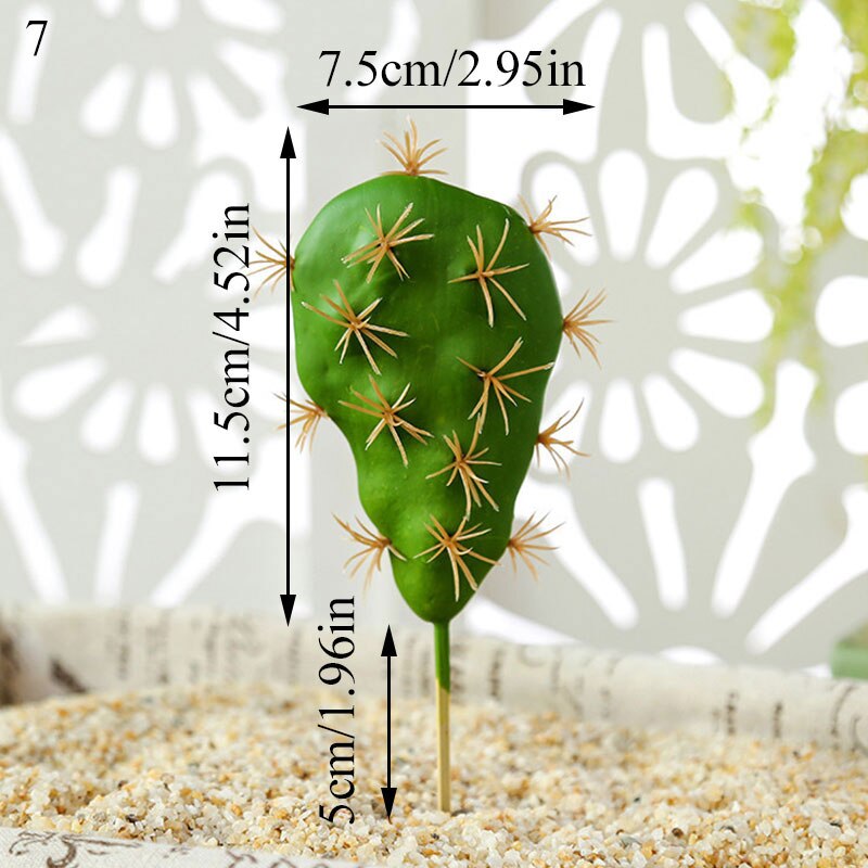 Graines de graines pour Aquarium, plante aquatique, graines faciles, Aquarium, aménagement paysager: 7
