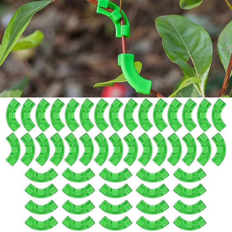 40