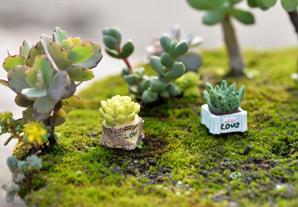Levensechte Mini Kunstmatige Vlezige Cactus Plant Micro Landschap Decoratieve Miniatuur Beeldjes Diy Potplanten Tuin Home Decoratie/*
