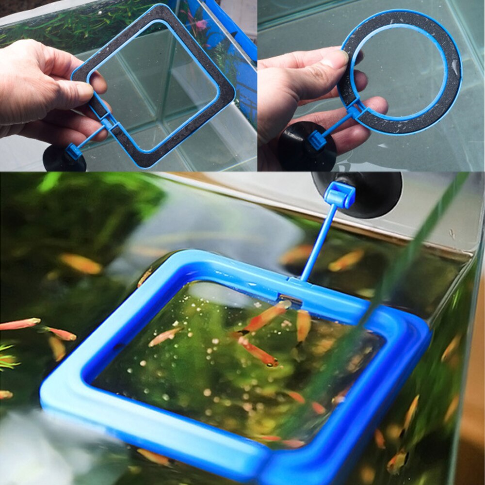 1PCS aquarium floating fish feed feeding ring fish tank aquarium floating food tray feeder buoyancy suction cup