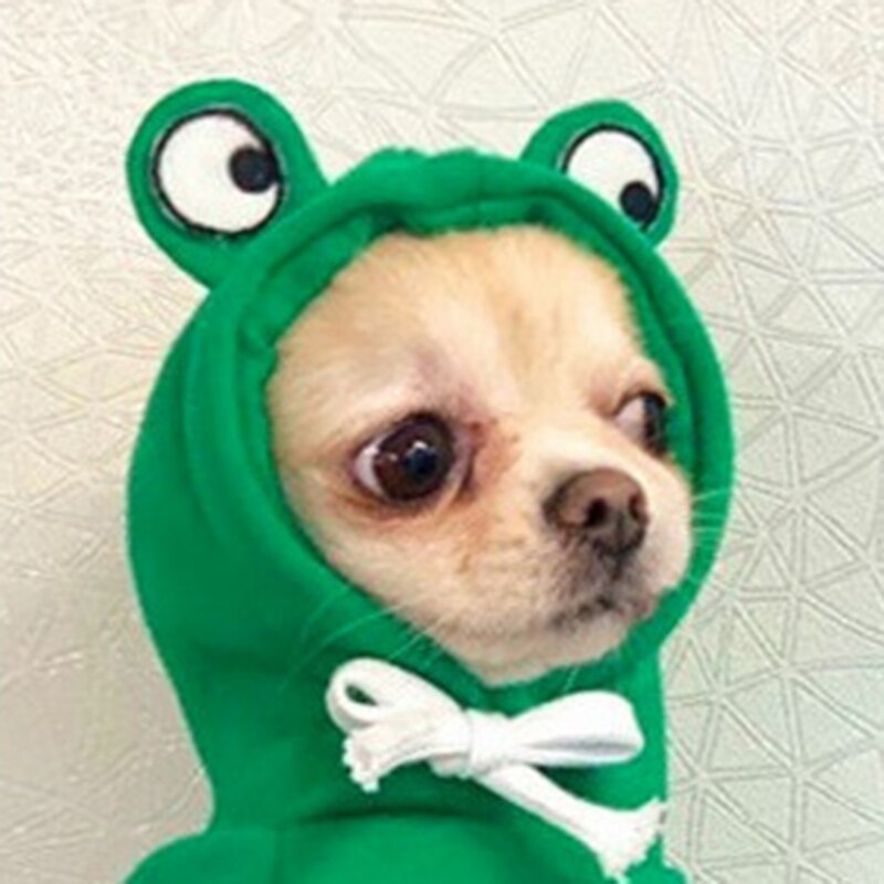 Medium Kleine Grote Herfst Winter Hoodies Kikker Ropa Para Perro Hond Kleding Twee-Legged Hooded Outfits Groen Fleece Kleding