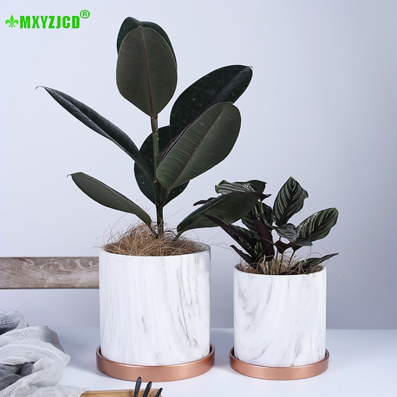 Iplusmile Blumentopf In Badewannenform - Keramik Pflanzgefäß Für Sukkulenten