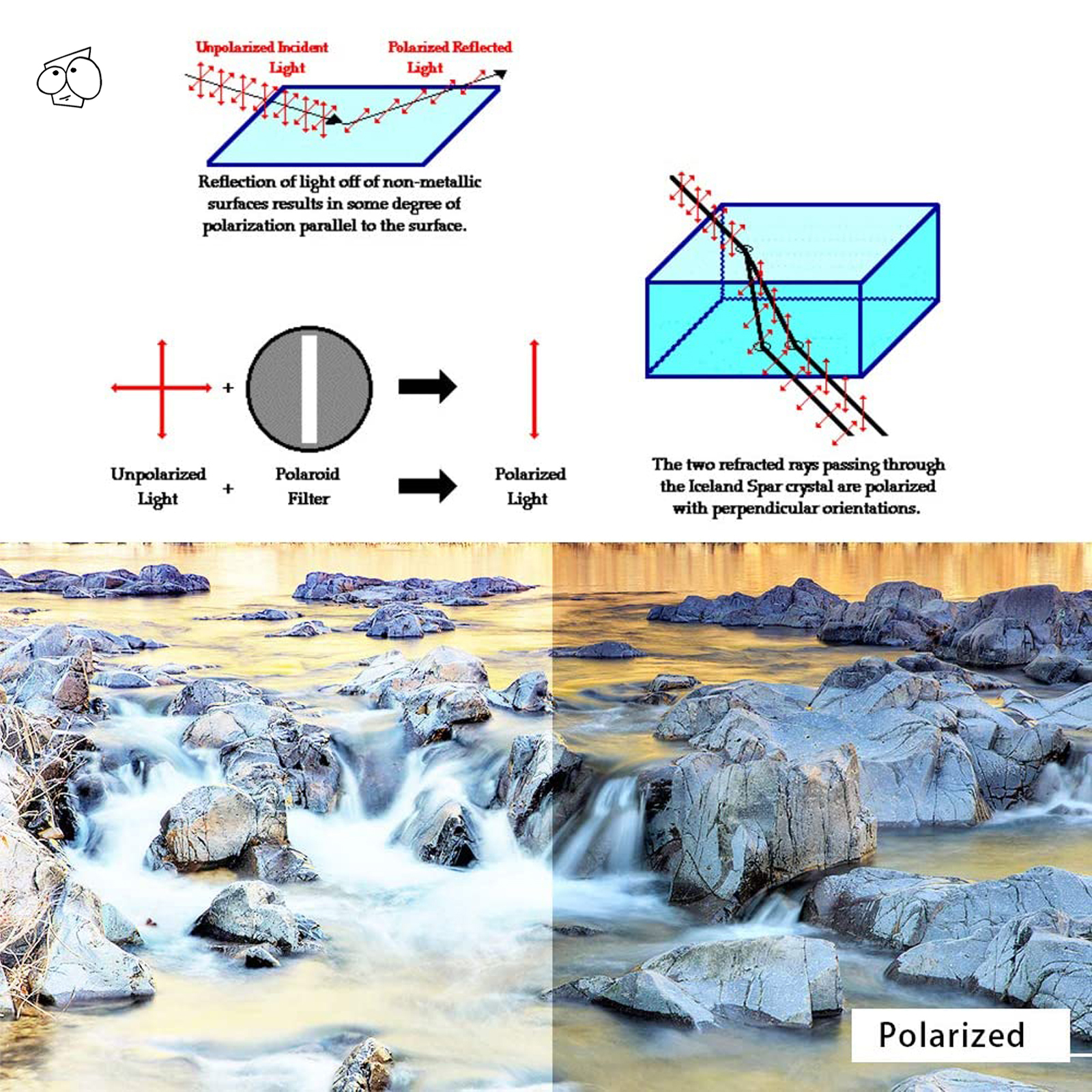 Ezreplace Gepolariseerde Vervanging Lenzen Voor-Oakley Si M Frame 2.0 Zonnebril-Blackp Plus-Blackirp