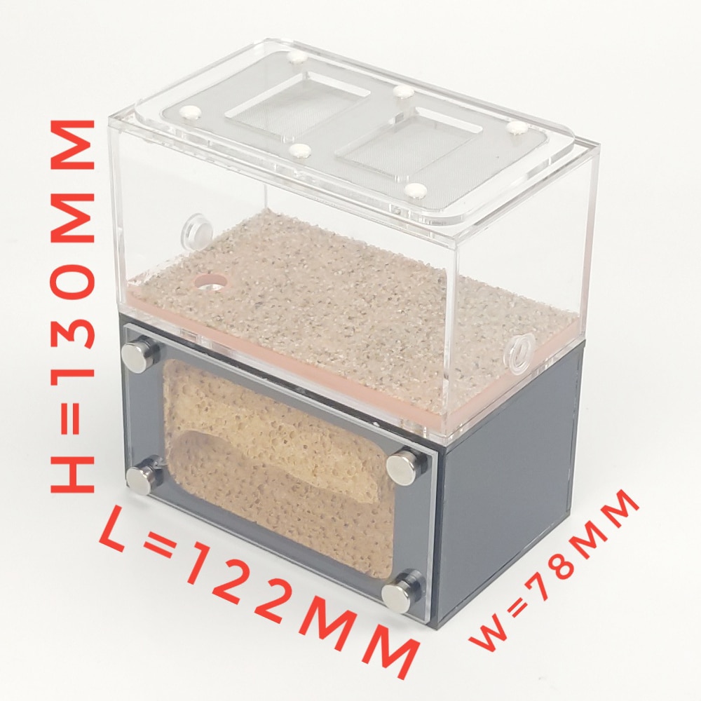 DIY Antgranery Foaming Concrete Feeding Area Acryl Ant Farm Ants House Birthday Feeding Area For Home