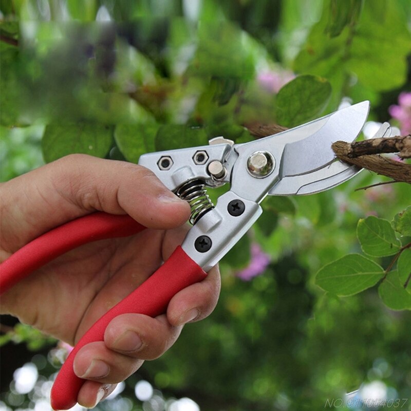 Pruning Shears Garden Tree Trimmer Gardening Tool ... – Grandado