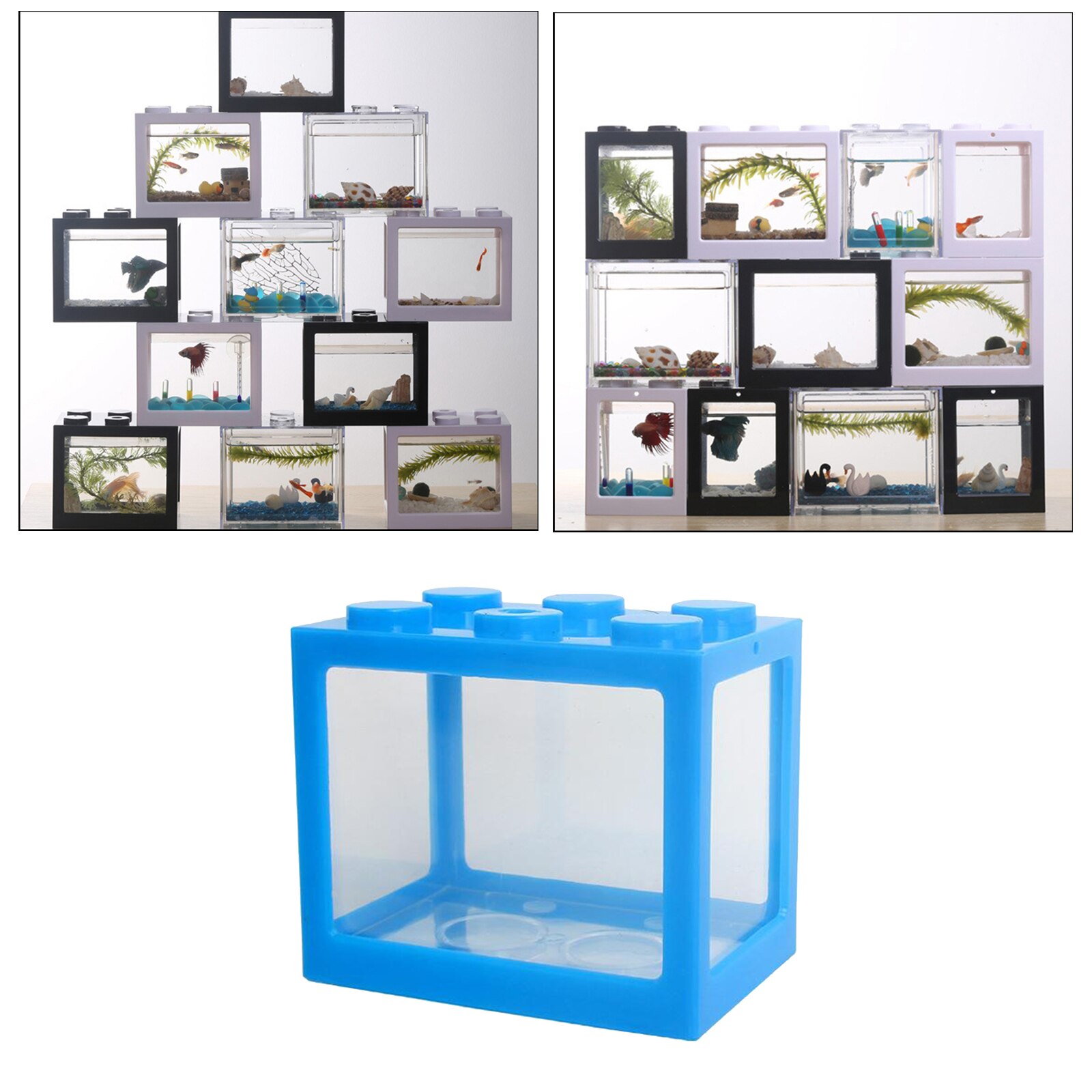 Desktop Mini Fish Tank Aquarium Betta Feed Goldfish Spider Insect Box Home Decor: Blue
