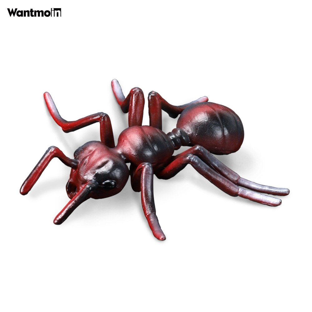 World-famous Dangerous Poisonous Wild Animal with Honey badger spider mosquito monitor lizard scorpion centipede snake Halloween