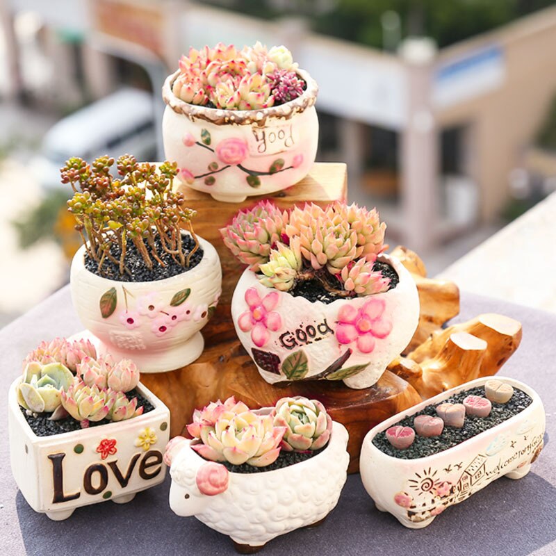 Succulent Bloempot Keramische Combinatie Set Kleine Verse Speciale Vlezige Plant Pot