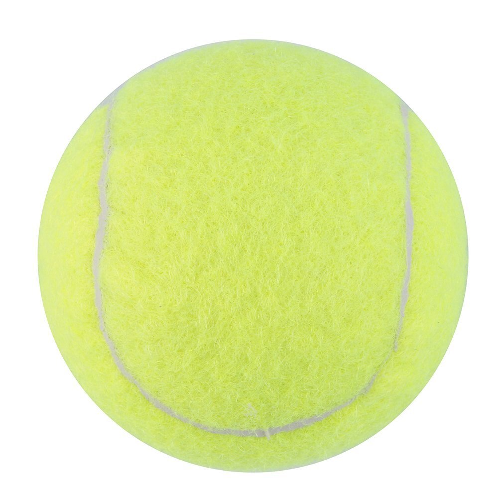 Gule tennisballer sportsturnering utendørs moro siriss strandhund ideell til Strand siriss tennistrening eller Strand/etc