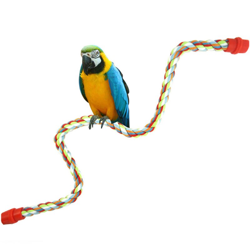 Animal de compagnie oiseau perroquet corde calopsitte perruche Conure Cage debout perche mâcher Peck jouet