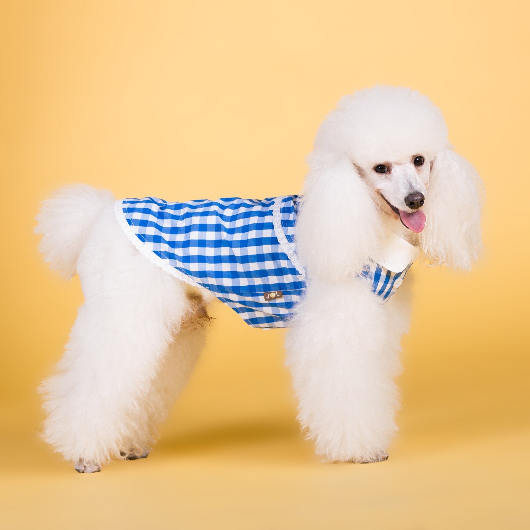 Dog Shirt Summer Pet Clothes Pug French bulldog – Vicedeal