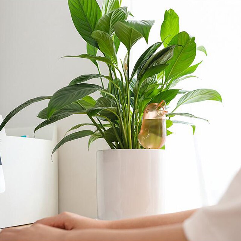 Transparent Bird Shape Automatic Drip Irrigation Tool Water Dispenser Container for Plant Potted Flowers Home Garden Props