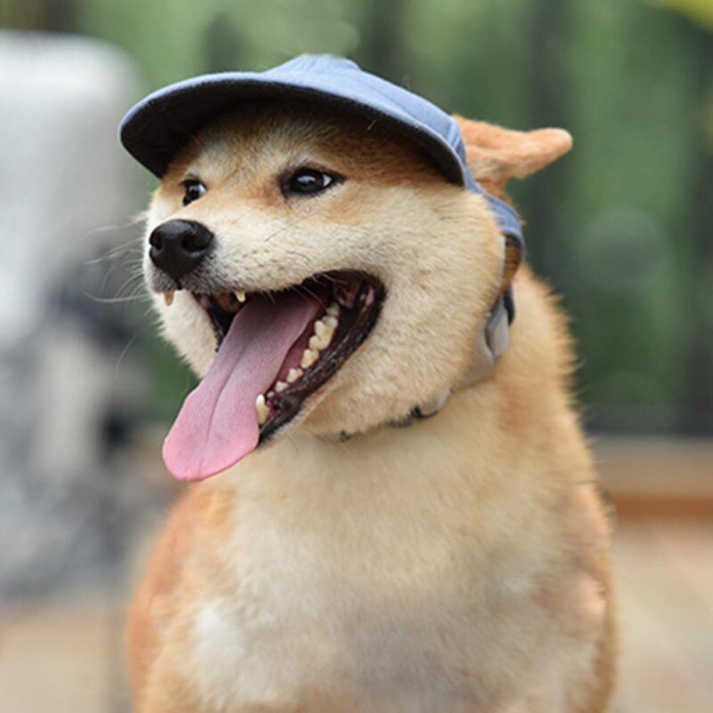 Leuke Zomer Hond Hoed Cap Outdoor Hond Baseball Cap Canvas Kleine Hond Zonnebrandcrème Accessoires Mode Wandelen Huisdier Producten S M L