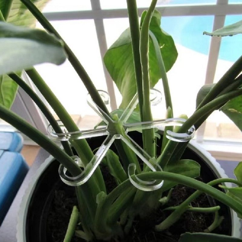 Soporte de tallo de planta Alocasia Monstera, Clips de soporte de hoja de vid para plantas trepadoras para crecer en posición vertical y hacer más saludable