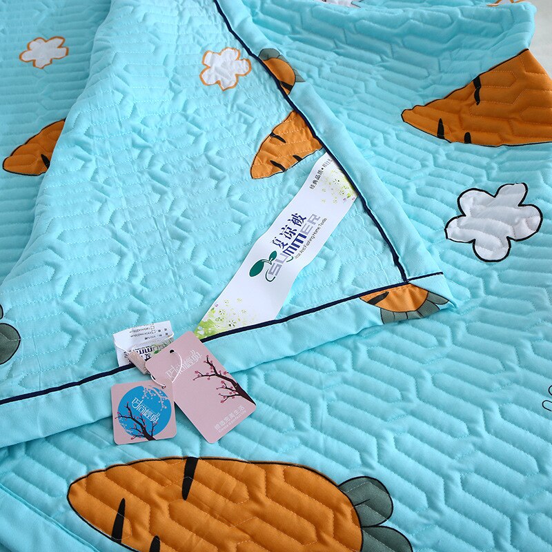 Skin-Friendly Summer Quilt Summer Blanket Skin-Friendly Velvet Thin Quilt Rinsing Machine Single and Double Quilt