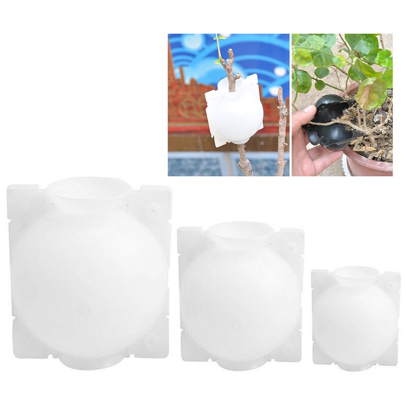 1Pcs Useful Plant Rooting Ball Grafting Rooting Growing Box Breeding For Household Garden Plant Rooting Equipment Random Color