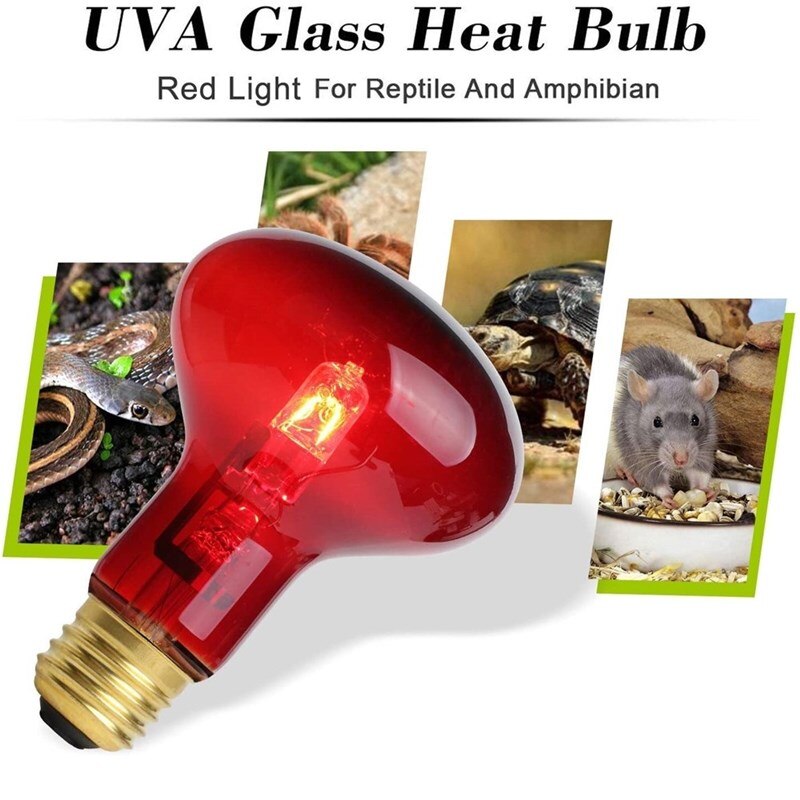 Luz infrarroja para Reptiles, lámpara de calor para Reptiles anfibios, bombillas de dragón barbudo, 40/60W, 2 uds.