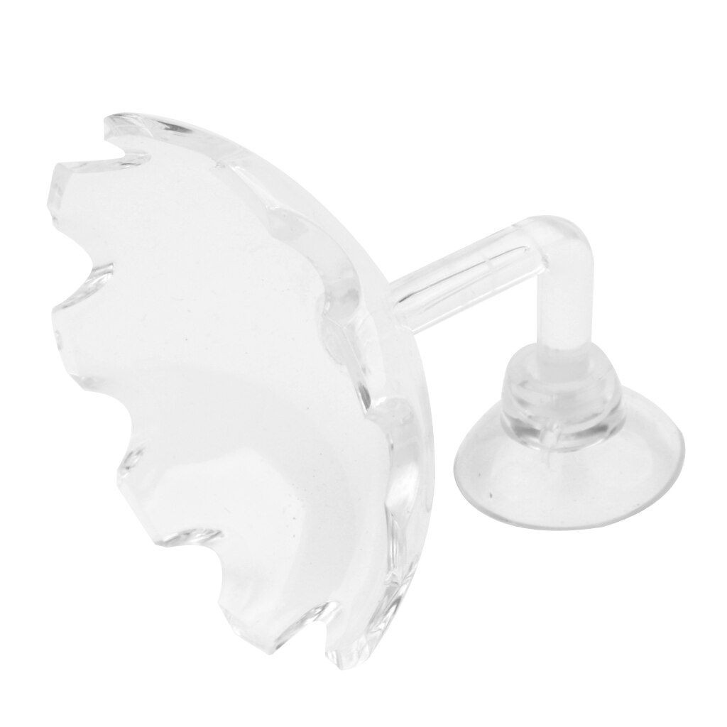 Shrimp Feeding Food Dish Tray Acrylic Glass Shrimps Feeder Dish For Aquarium