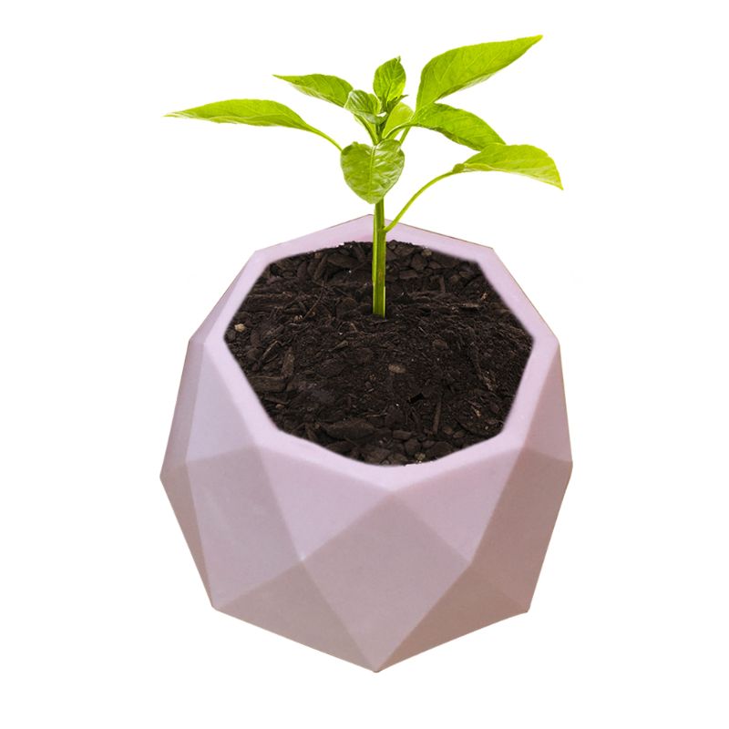 Fait à la main géométrique Silicone Pot de fleur moule Succulent planteur Vase artisanat décor à la maison