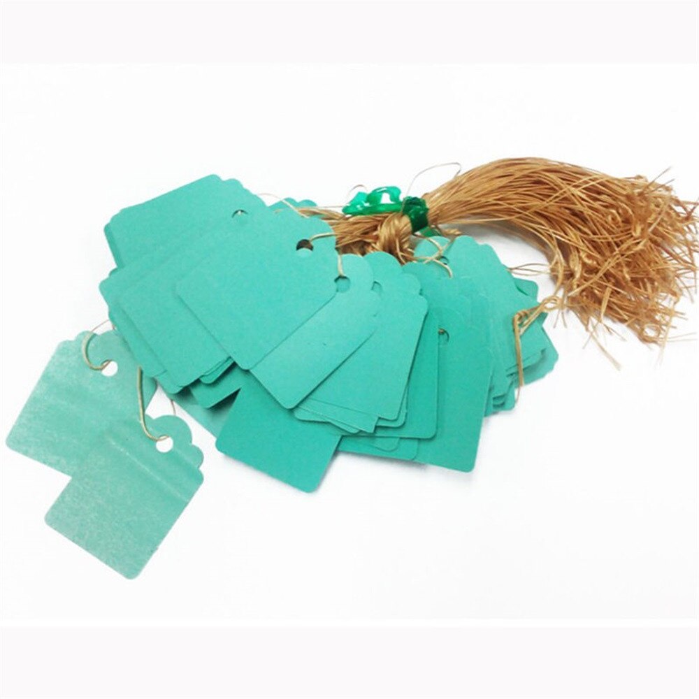 Reusable 100pcs Plants Hang Labels Seeding Garden Flower Pot Plastic Tags Number Plate Hangting PVC Garden Tools: Green 