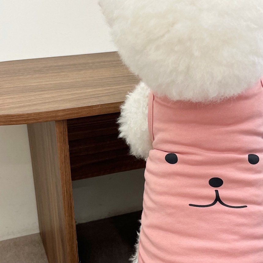 Camiseta fina para cães gatos filhote de cachorro verão colete teddy pomeranian pequeno médio respirável roupas para cães regatas para animais de estimação traje: XS / Preto