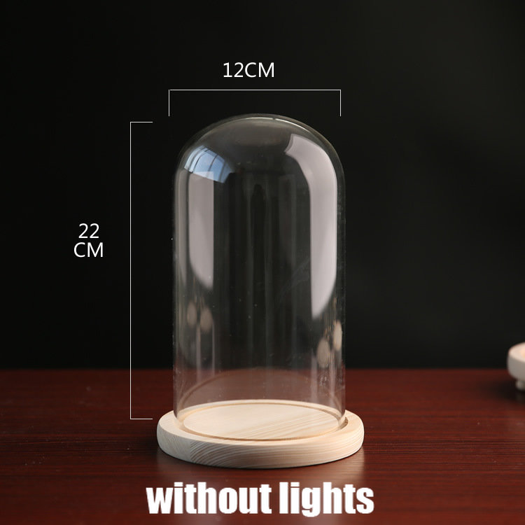 Tabletop Display Glass Cover Terrarium Container Decor Dry Flower Ornaments Craft Bell Jar Wood Base with Feet LED Light Holder: Orange