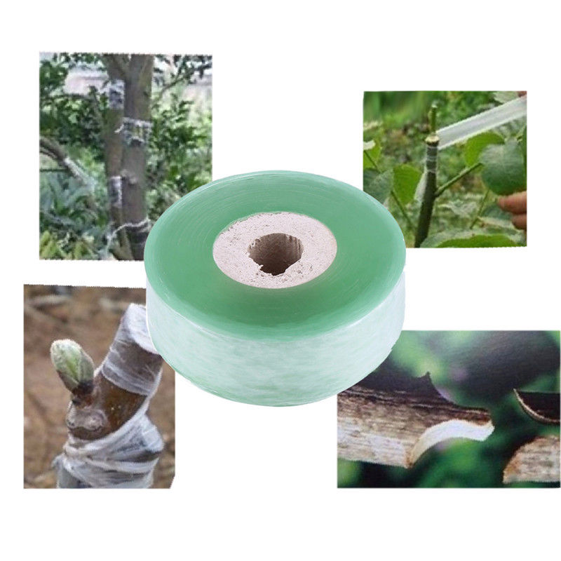 100M 2mm Grafting Stretchable Tape Moisture Barrier Plant Floristry Film