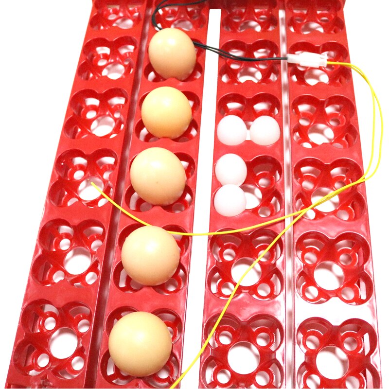 Incubadora para aves 96 huevos, bandeja automática de 24 huevos, herramienta de incubación de codornices de loros, tamaño 43*28 cm