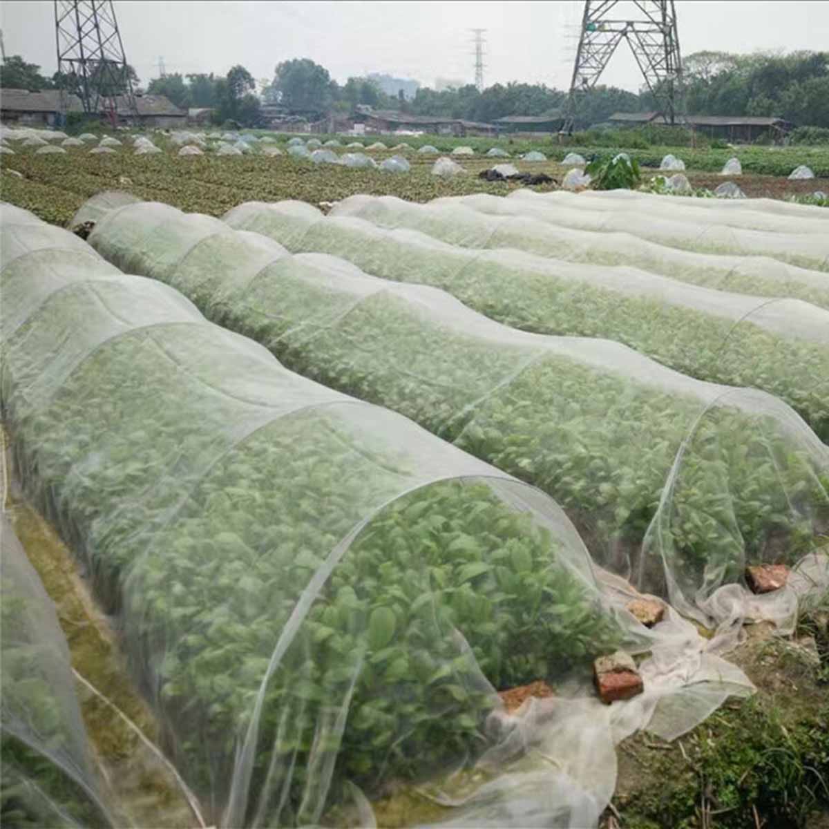 Mosquitera a prueba de insectos de plástico para el cuidado de plantas, barrera para pájaros y insectos