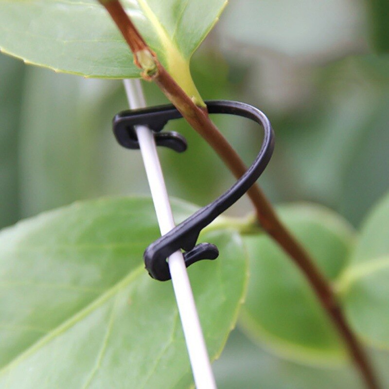 50/100Stck Kunststoff Pflanze Befestigung Clips Tomaten Unterstützung Clips Trauben Gestell Gittergewebe Befestigungen Gartenarbeit Landwirtschaft Bündelung Linie Käfige