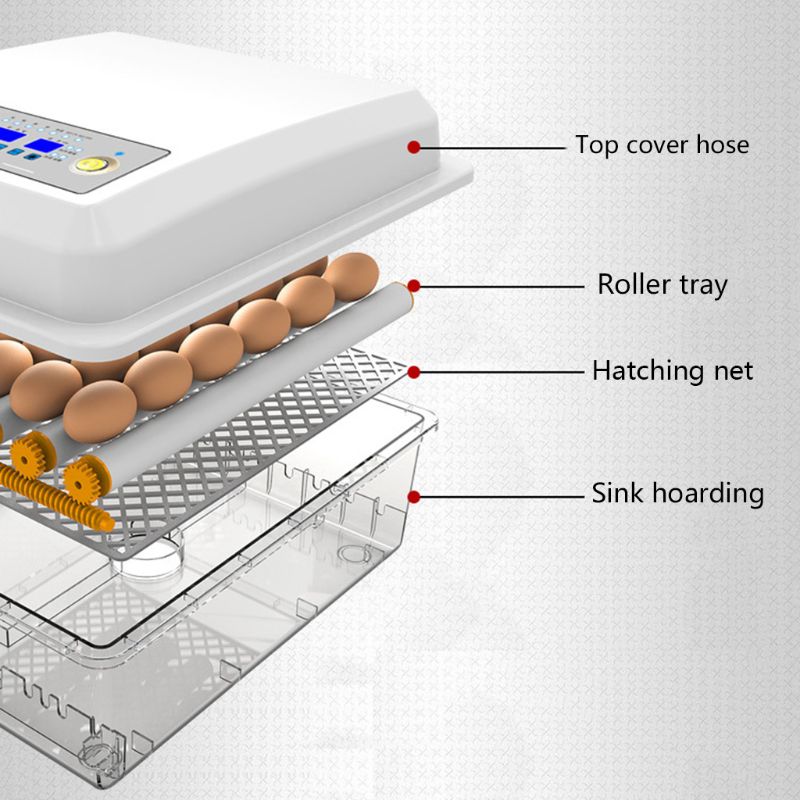 220V 16 Eggs Incubator Brooder Bird Quail Chick Hatchery Incubator Poultry Hatcher Turner Automatic Farm Incubation Tools EU