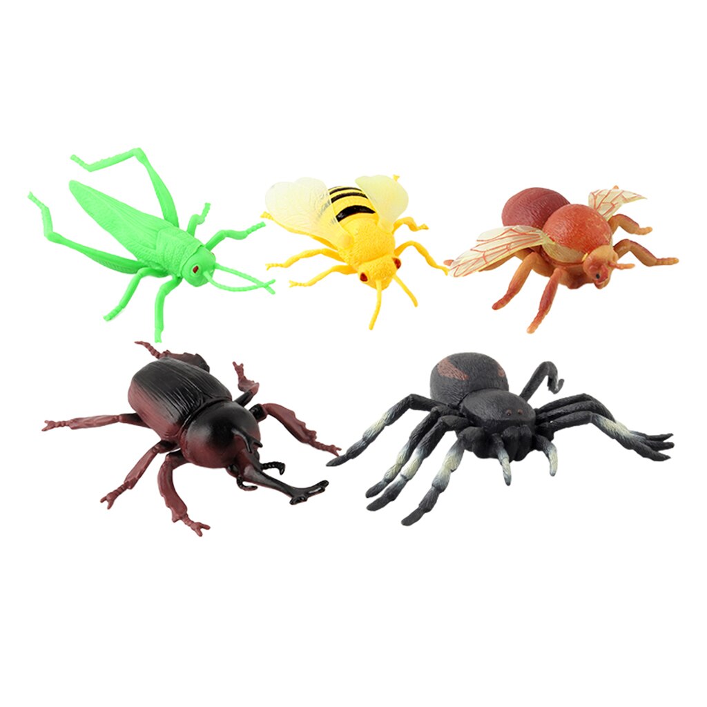 Bug Toys figurine 5/6/8/12PCS giocattoli per insetti figure per bambini bambini educativi ape scarabeo ragno modello in plastica: 5pcs