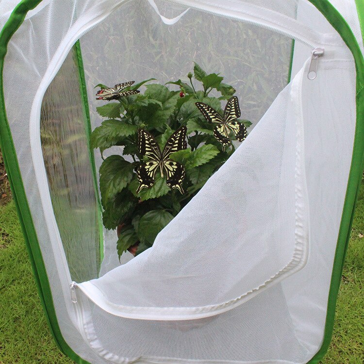 Mini Huis Tuin Groeiende Tenten Insect Bloem Plant Doorschijnende Opvouwbare Kas Voor Tuin Schuur Duurzaam Cover Roll-Up Rits