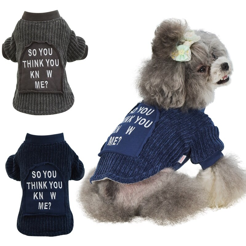 Pet Hooded Trui Hond Jas Herfst Winter Eenvoudige Britse Stijl Warme Katoen Dikke Chihuahua Puppy Kostuum Blauw Grijs Huisdier Kleding
