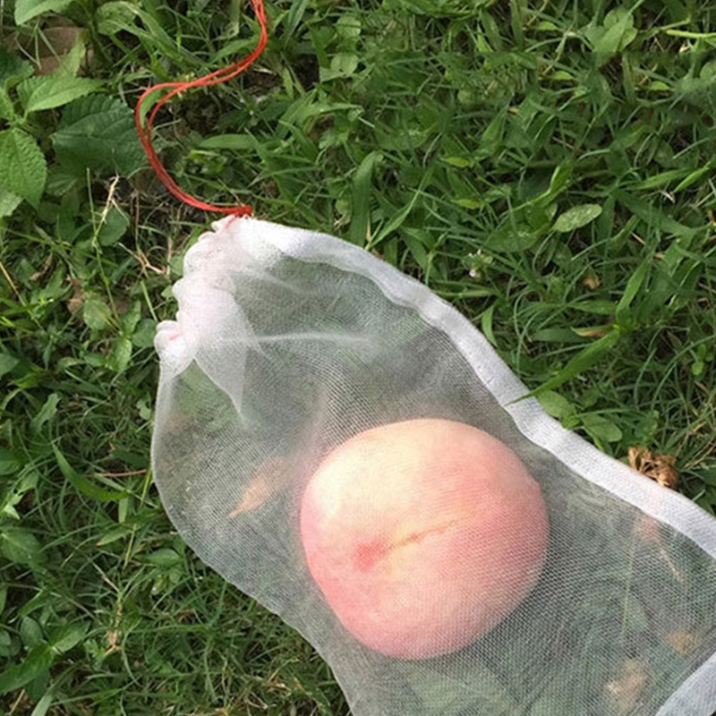 50PCS/Set Nylon Insect Mosquito Proof Net Bags Garden Fruit Tree Cover Bags Grape Fig Flower Seed Vegetable Protection Mesh Bag