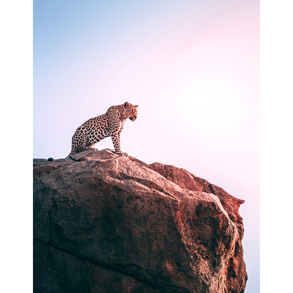 Carino Animali Ritratto di Montaggio Lo Stress Relief Giocattoli di 1000 Pezzi di Carta Jigsaw Puzzle Puzzle Game Giocattoli Interessanti